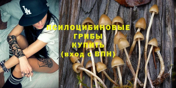 шишки Алапаевск