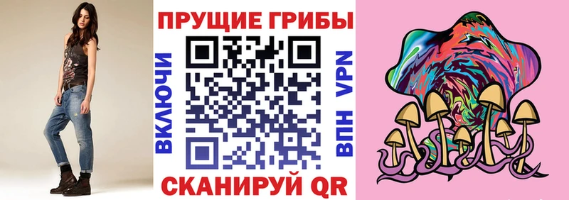 Псилоцибиновые грибы мицелий  купить наркотики сайты  Вытегра 