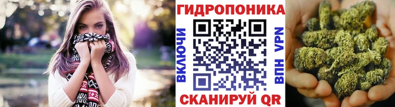 Бошки марихуана MAZAR  гидра маркетплейс  Вытегра 